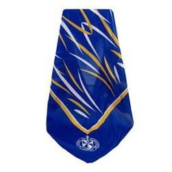 100% Raw Silk Square Chiffon Scarf For High School