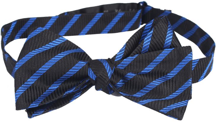Printed Striped Bowtie Polka Dot Bow Tie