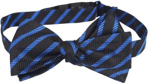 Printed Striped Bowtie Polka Dot Bow Tie