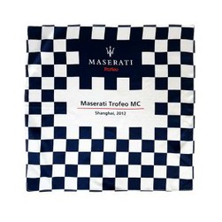 Company Design Silk Satin Scarf