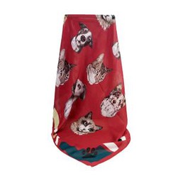 Modal Cashmere Scarf