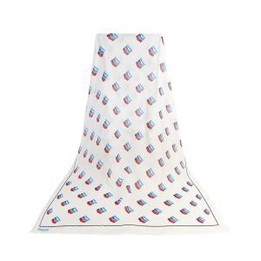 Silk Chiffon Scarf No Minimum