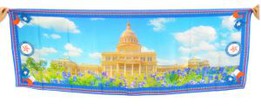 Digital Print Viscose Long Scarves For Texas Government
