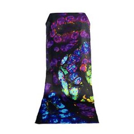 Digital Printed Long Silk Scarves