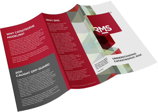 custom brochure for silk scarf.png